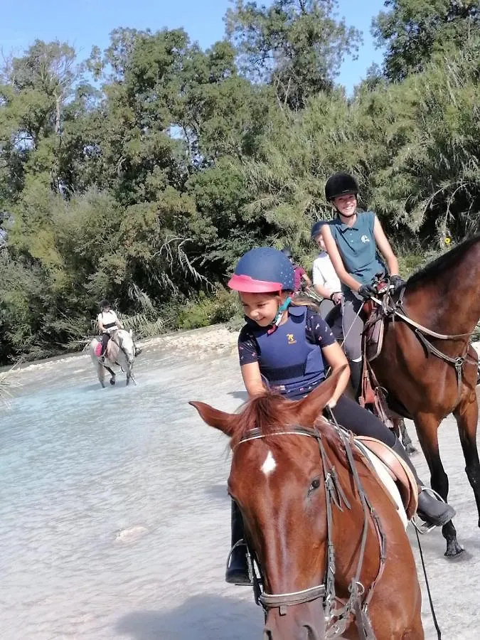 Podere Marcigliano Villa Badia A Passigano Farm stay