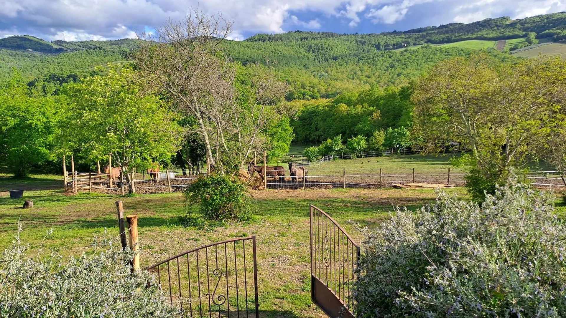 Podere Marcigliano Villa Badia A Passigano Farm stay